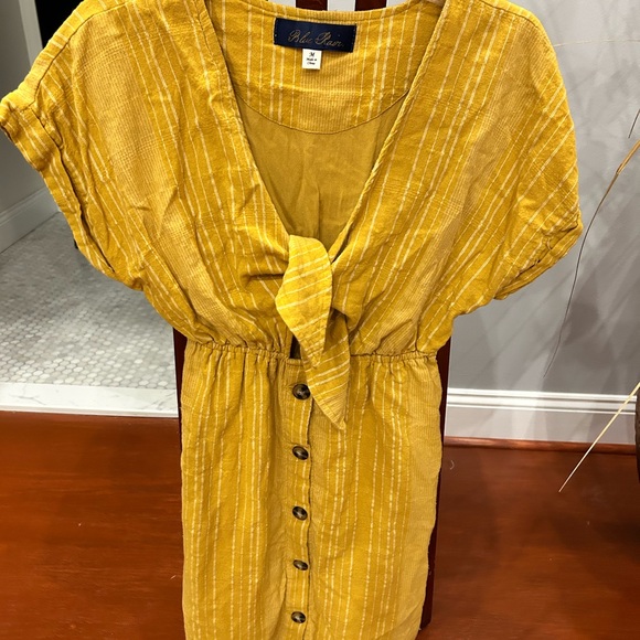 Blue Rain Mustard Striped Mini Dress - Picture 1 of 7